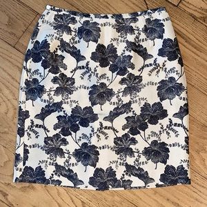 Ann Taylor Skirt